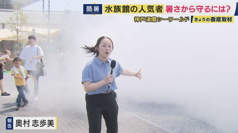 神戸須磨シーワールドでは熱中症対策が本格始動