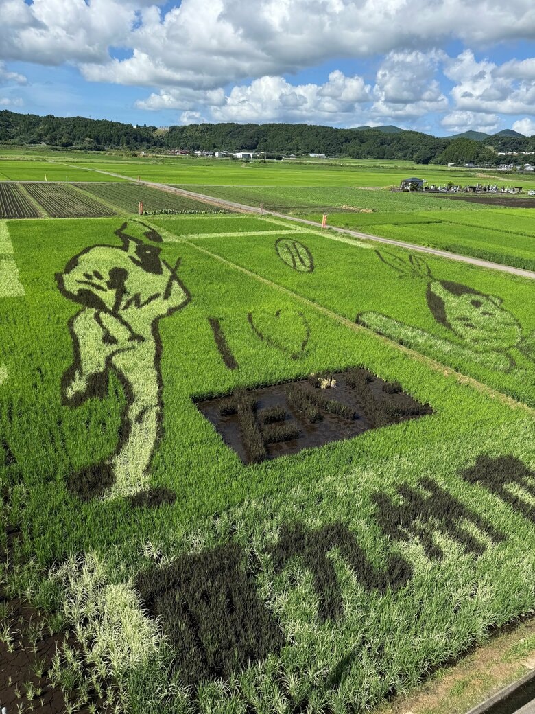 2025年の田んぼアート