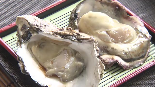 新鮮な海の幸を求めて多くの人が訪れる