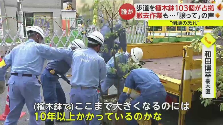 専門家は、この大きさになるまでに10年くらいかかっている可能性があるという