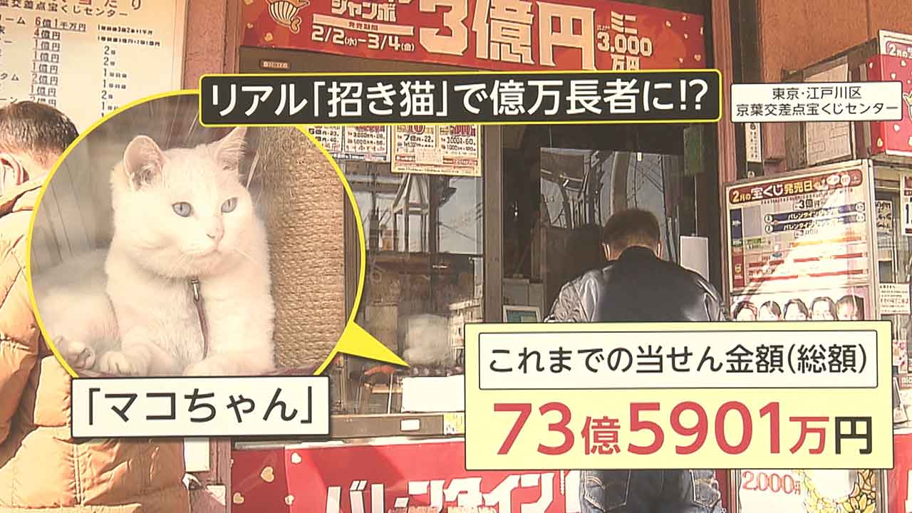 ネコノミクス 経済効果 宝くじ売り場の リアル招き猫 駅構内で買える猫グッズ Fnnプライムオンライン Goo ニュース