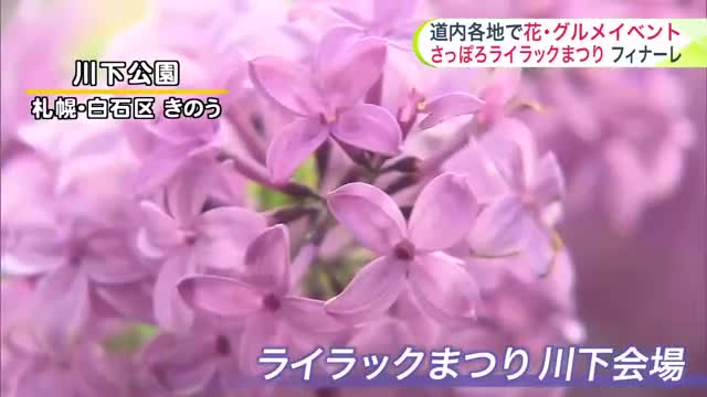 【北海道の天気 5/24(金)】週末は各地で花＆グルメイベント  さっぽろライラック祭りはフィナーレ　日本最大規模のライラックを誇る川下公園も会場に