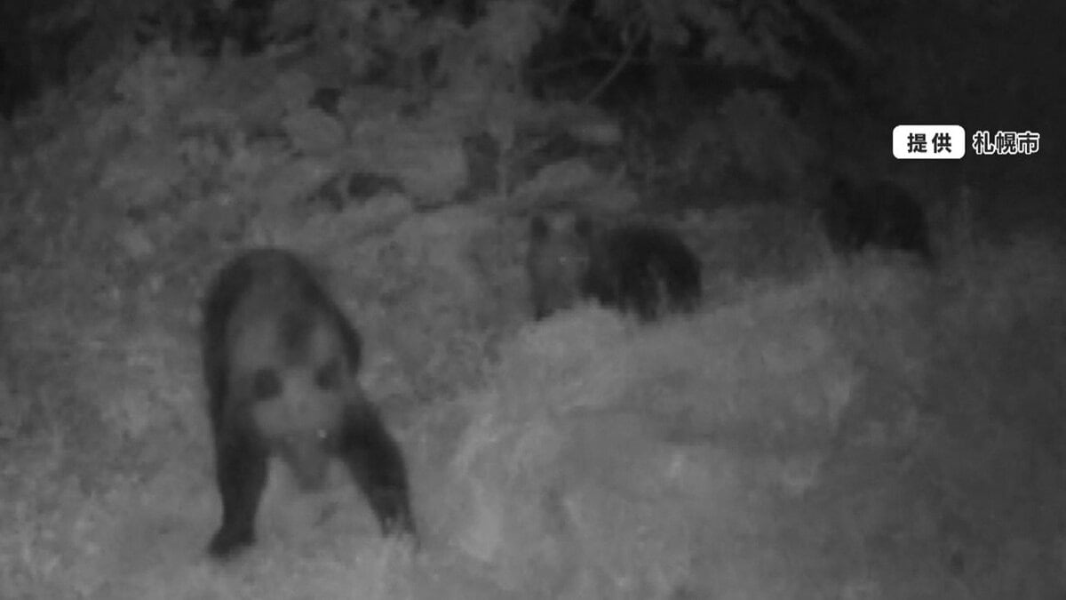 不安】札幌市中心部でクマ目撃 繁華街「ススキノ」周辺でも…住宅街で