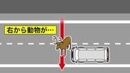 【道内でも部活送迎で横転事故…】顧問がレンタカー使用「認識がなかった」道東でルール違反発覚―北海道教育委員会は道立学校対象“実態調査”へ