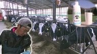飼料高騰に原油高…酪農家が悲鳴「牛乳だけ値上がりしない」 新たな需要獲得を目指し“お腹がゴロゴロ”しにくい牛乳の提供に乗り出す生産者も