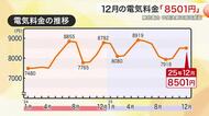 東北電力 12月の電気料金8501円 前月と同額 中間決算は減収減益〈宮城〉