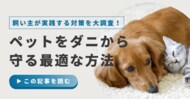 【500人に調査】ペットの約15％がダニに寄生された経験あり！飼い主が実践する予防・対策方法について紹介
