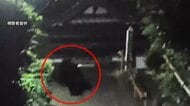 栃木・宇都宮でクマ目撃情報相次ぐ　体長60～80センチ