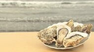 「獲れたてと変わらない旨み」旬のカキを殻ごと冷凍に…加熱すれば1年以上食べられます【佐賀発】