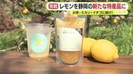 レモンを静岡の新たな特産品に　お茶・ミカン・イチゴに続け！