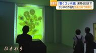 「絵の中に入り込んだみたい」約860作品を楽しめる“動くゴッホ展”【佐賀県】