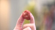 広島はきのう梅雨明け！　夏バテ・熱中症対策は？　街の皆さんにキキコミ！