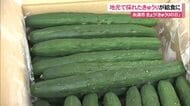 「給食で食べて」きゅうりの日に糸満市の新鮮なきゅうりを子どもたちに贈呈