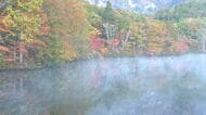 「静けさと木々の彩りが素晴らしい」水面に映る赤や黄　「鏡池」で紅葉が見ごろ　標高1200ｍの名所　10月末まで楽しめそう　長野市戸隠