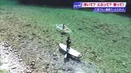 日本で有数の清流・仁淀川で“宙に浮く”カヤック体験＆天然水風呂の絶景サウナを満喫【高知】