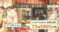 「ネコノミクス」経済効果 宝くじ売り場の“リアル招き猫” 駅構内で買える猫グッズ