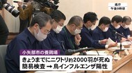 小矢部の養鶏場で鳥インフル発生疑い 遺伝子検査進める 県が対策会議