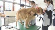 新たな国家資格「動物看護師」を目指す若者たち　相次ぐ虐待に多頭飼育崩壊…命と向き合う養成の現場【長野発】