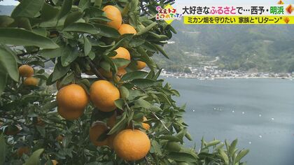 「大好きな明浜に恩返しを」　ふるさとへ戻った女性が明浜の魅力を“PR”【愛媛発】