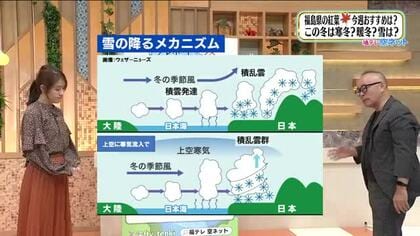 2025年の冬は“いぎなり”寒く“いぎなし”雪に…　前冬と同じパターンで今シーズンも大雪のおそれ