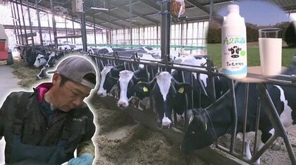 飼料高騰に原油高…酪農家が悲鳴「牛乳だけ値上がりしない」　新たな需要獲得を目指し“お腹がゴロゴロ”しにくい牛乳の提供に乗り出す生産者も