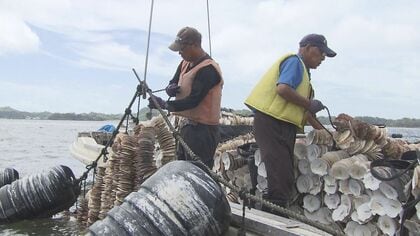 「海のなりわい」どうつなぐ?減りゆく沿岸漁業就業者…深刻な後継者不足で岐路に立つ離島の漁業【宮城発】