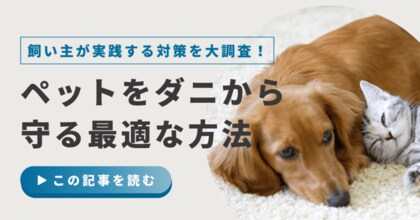 【500人に調査】ペットの約15%がダニに寄生された経験あり!飼い主が実践する予防・対策方法について紹介