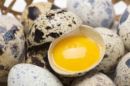 ウズラ農家が全国でたった27件に…コロナ禍の現状を浜名湖ファームに聞いた