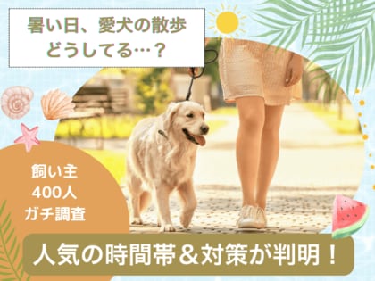 【飼い主400人に調査】暑い日の愛犬の散歩をどう乗り切る？人気の時間帯は意外にも“あの時間”！