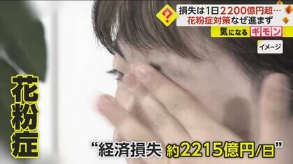 【1日2200億円】花粉症の経済損失　首相「我が国の社会問題。関係閣僚会議開く」　農水相は驚く「どこがイニシアチブとる？」