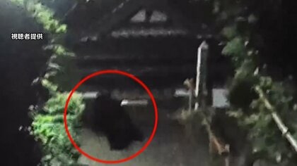 栃木・宇都宮でクマ目撃情報相次ぐ　体長60～80センチ
