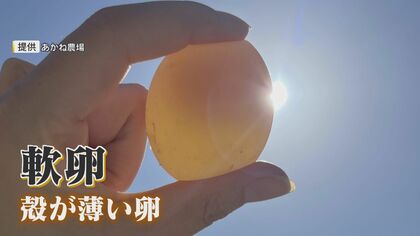 夏バテで“エッグショック”再来か？ 殻が薄い「軟卵」や極小サイズなど 産卵数減り価格も高騰【福岡発】
