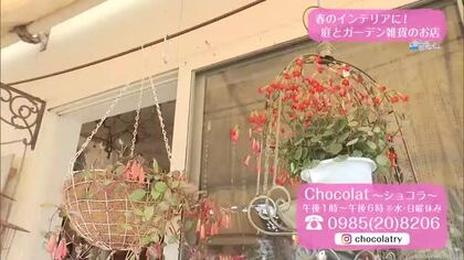 春のインテリアに　庭とガーデン雑貨のお店【トレリン】　