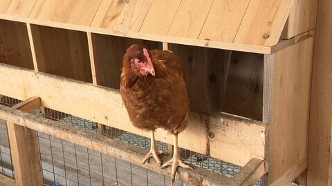 半径1kmの循環ビジネス　未利用資源を有効活用し移住者2割の村で課題解決へ