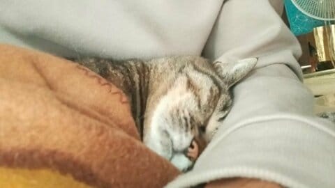 年収200万台でも年100万の貯金！8300万貯めて早期退職した氷河期世代投資家が勝ち取った「豊か」な無職生活