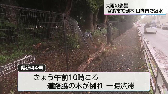 大雨の影響で倒木が発生した県道44号の現場