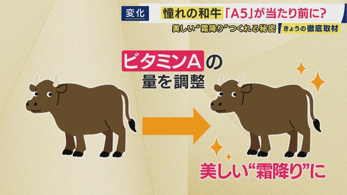 もはや「A5」であるだけでは消費者から選ばれない