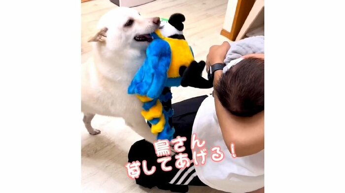 「鳥さん貸してあげる!」