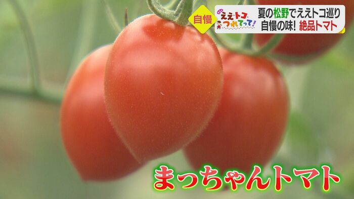 赤く実り、つやが瑞々しい