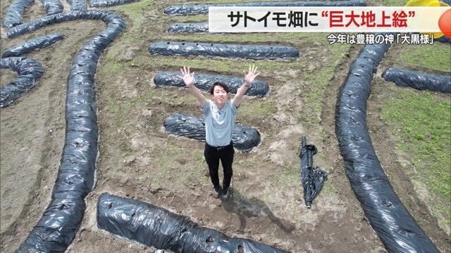 サトイモ畑の中で手を振る弊社・東アナウンサー