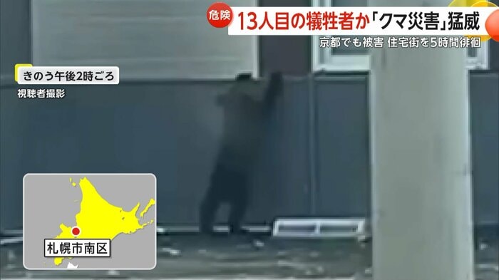 住宅の塀をよじ登る子グマ