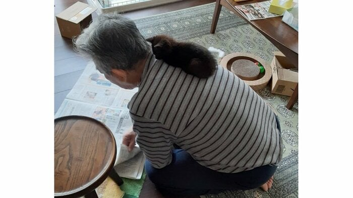 新聞を読む男性の肩に乗る子猫