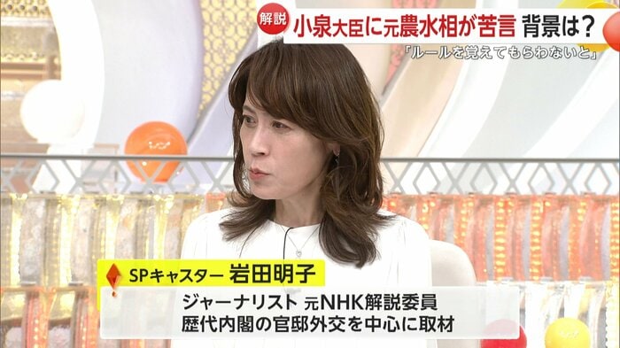スペシャルキャスター・岩田明子さん