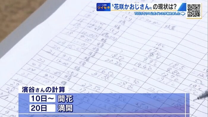 取り組み開始からほぼ毎日、天気や温度を記録