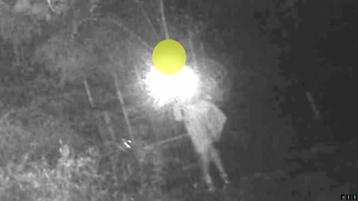 （映像提供：とある県下の猟友会）