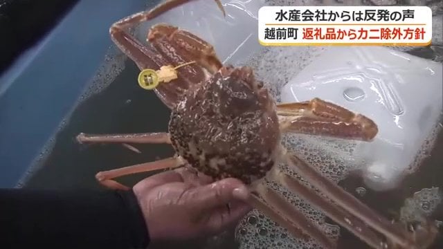 越前町の越前がには返礼品に復活するのか―