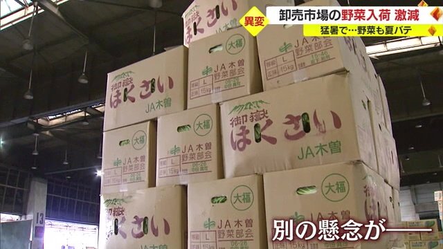 もう一つの懸念