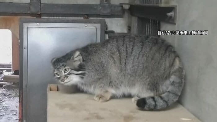 ニュースONE