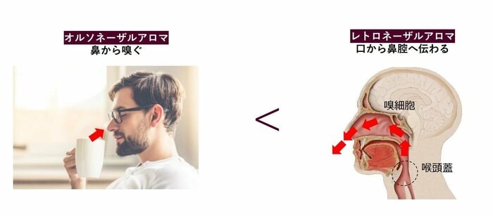 食べる方が香りを強く感じるという