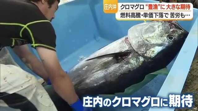知名度向上・消費拡大を目指し、行政・漁協によるイベントも積極的に開催されている